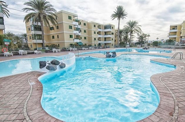 Foto 1 de Piso en venta en Playa del Inglés de 2 habitaciones con piscina y jardín