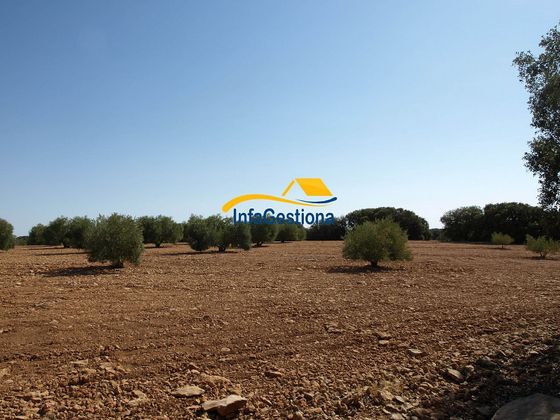 Foto 2 de Venta de terreno en San Carlos del Valle de 25357 m²