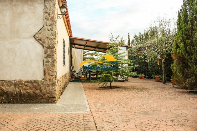 Foto 1 de Xalet en venda a Valdepeñas de 4 habitacions amb terrassa i piscina