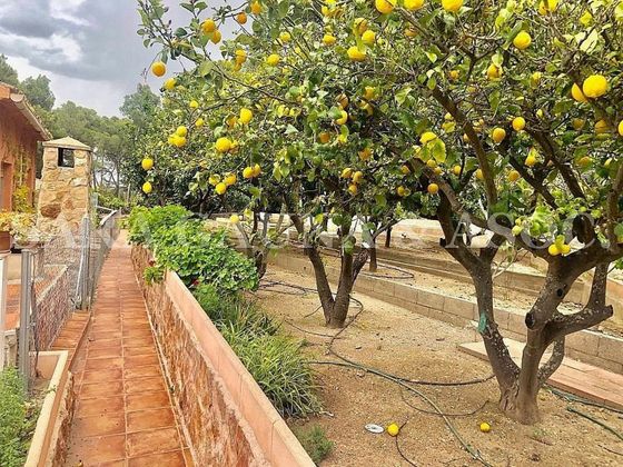 Foto 2 de Casa en venda a Torres Torres de 5 habitacions amb piscina i jardí