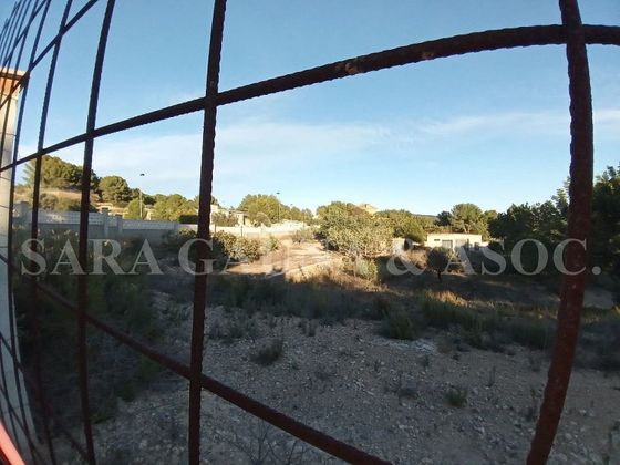 Foto 2 de Terreno en venta en Albalat dels Tarongers de 1000 m²