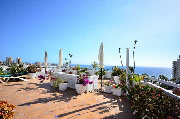 Foto 2 de Pis en venda a Costa Adeje de 3 habitacions amb terrassa i piscina
