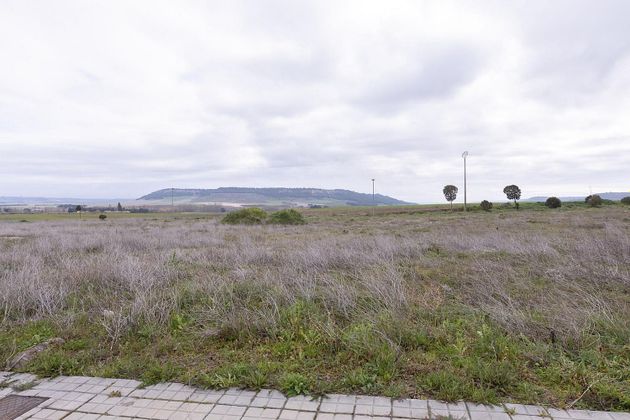 Foto 2 de Venta de terreno en Mojados de 320 m²