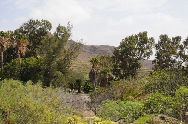 Foto 2 de Venta de terreno en Valle de los Nueve - El Ejido - Medianías de 290 m²