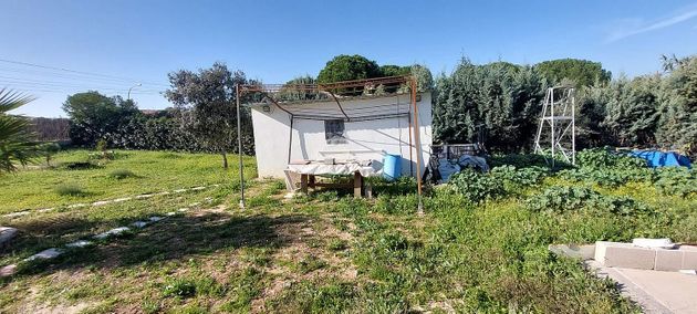 Foto 2 de Venta de chalet en Casar de Escalona (El) de 5 habitaciones con piscina y garaje