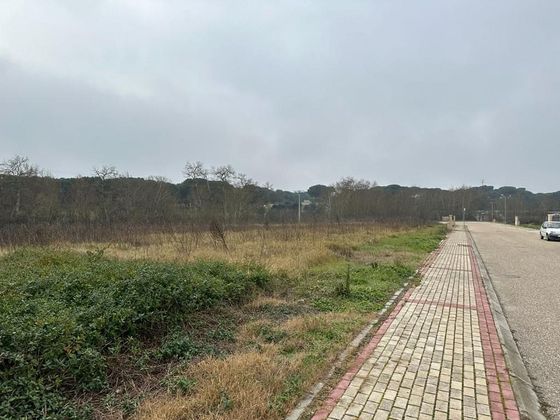 Foto 2 de Venta de terreno en Villanueva de Duero de 4000 m²