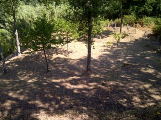 Foto 1 de Venta de terreno en Cañiza (A) de 1700 m²