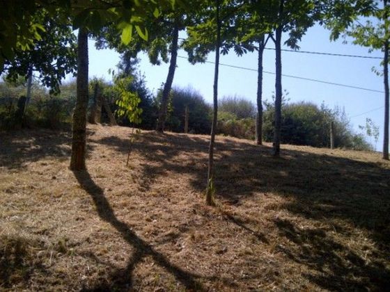 Foto 2 de Venta de terreno en Cañiza (A) de 1700 m²