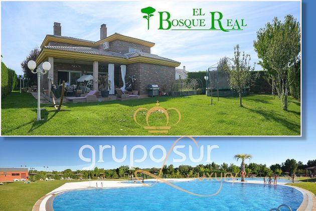 Foto 1 de Xalet en venda a calle El Bosque Real de 5 habitacions amb terrassa i piscina