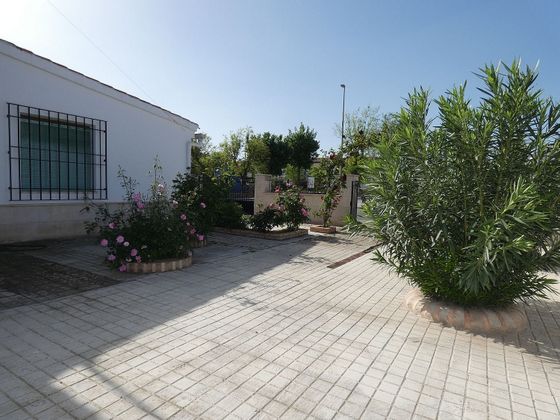Foto 1 de Casa en venda a Almagro de 3 habitacions amb terrassa i garatge