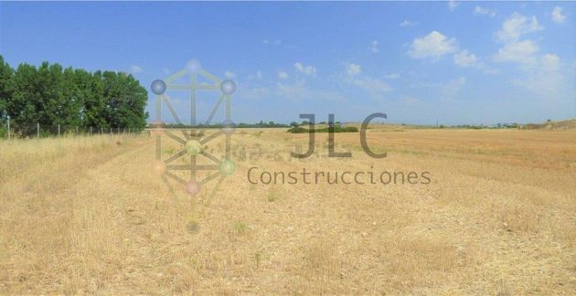 Foto 1 de Venta de terreno en Fuente el Saz de Jarama de 11435 m²