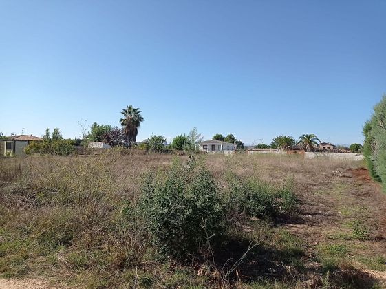 Foto 2 de Venta de terreno en Pepino de 2508 m²