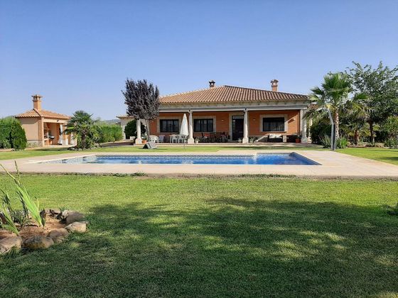 Foto 1 de Casa en venda a Piedrabuena de 4 habitacions amb terrassa i piscina