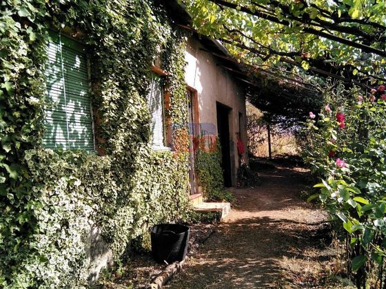 Foto 1 de Venta de chalet en Mariñamansa con jardín