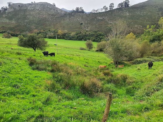 Foto 2 de Venta de terreno en Vibaña-Ardisana-Caldueño de 1646 m²