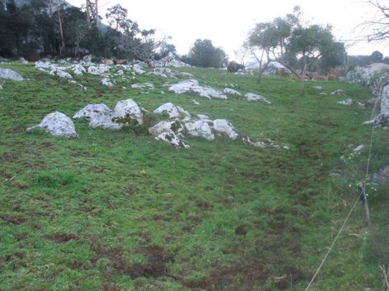 Foto 1 de Venta de terreno en Posada-Barro de 754 m²