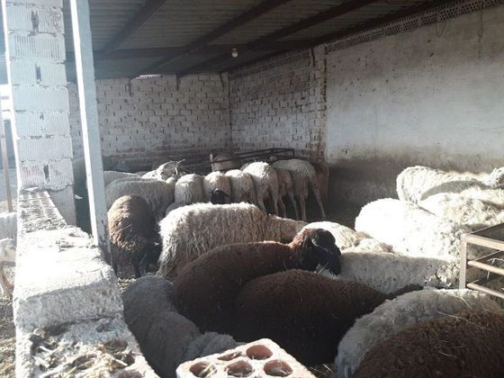 Foto 2 de Casa rural en venda a Montearagón de 1 habitació i 200 m²