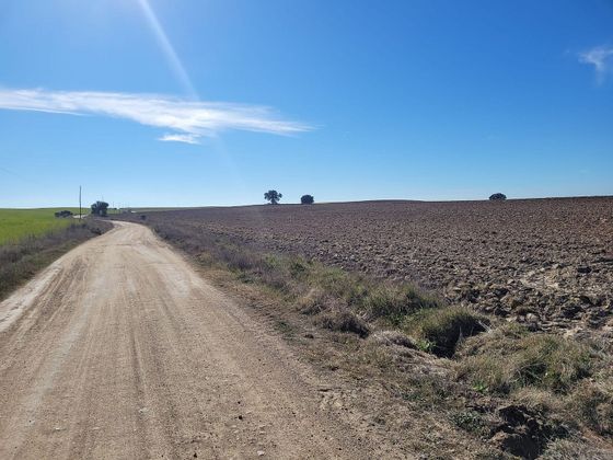 Foto 2 de Venta de terreno en Calera y Chozas de 10000 m²