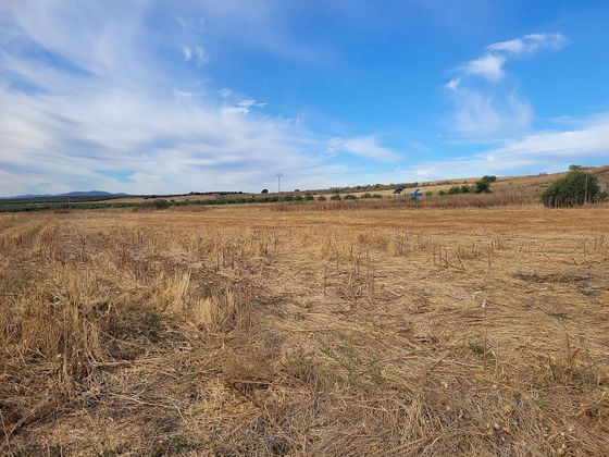 Foto 1 de Venta de terreno en Calera y Chozas de 60000 m²