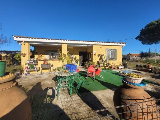 Foto 1 de Casa rural en venta en calle Fabrica del Tomate de 4 habitaciones con piscina y garaje