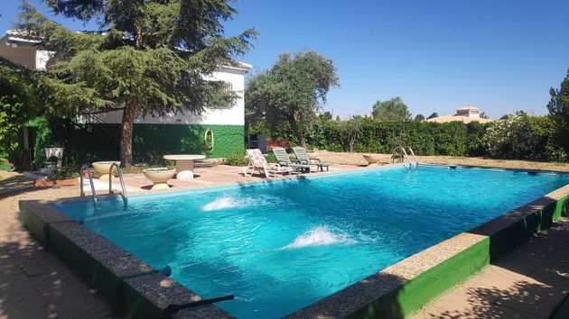 Foto 1 de Xalet en venda a Argamasilla de Alba de 4 habitacions amb terrassa i piscina