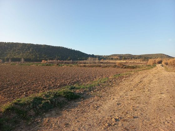 Foto 1 de Venta de terreno en Murillo el Fruto de 24000 m²