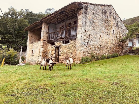 Foto 2 de Venta de casa rural en Cué-San Roque-Andrín de 1 habitación y 220 m²