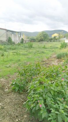 Foto 2 de Venta de terreno en Villadecanes de 1253 m²
