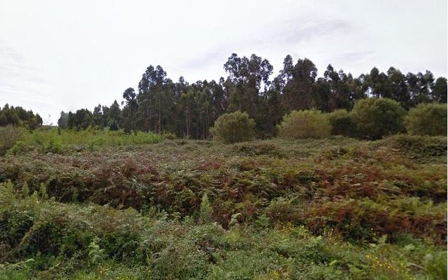 Foto 2 de Venta de terreno en Valdoviño de 10210 m²