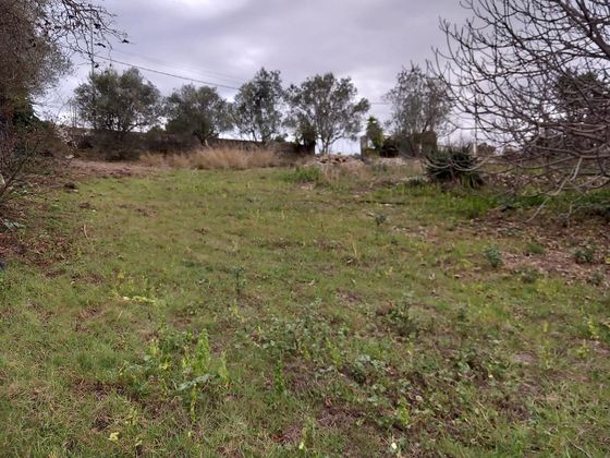 Foto 1 de Venta de terreno en Torrelles de Foix de 1062 m²