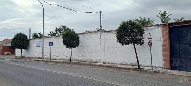 Foto 2 de Venta de terreno en Arenas de San Juan de 1700 m²