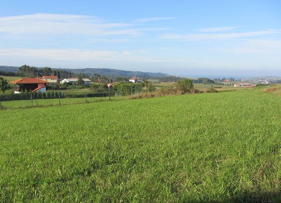 Foto 1 de Venta de terreno en Bocines - Nembro - Cardo de 1303 m²