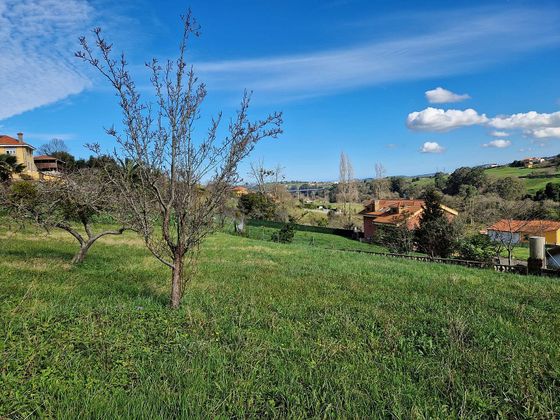 Foto 2 de Venta de terreno en Corvera de Asturias de 1110 m²