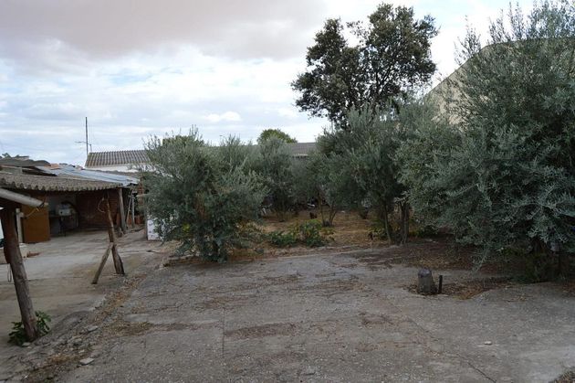 Foto 2 de Venta de terreno en Torrubia del Campo de 580 m²