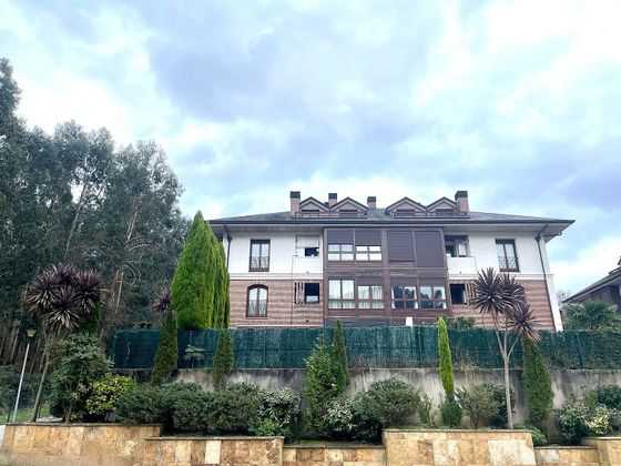 Foto 1 de Pis en venda a Oriñón - Allendelagua de 3 habitacions amb terrassa i piscina