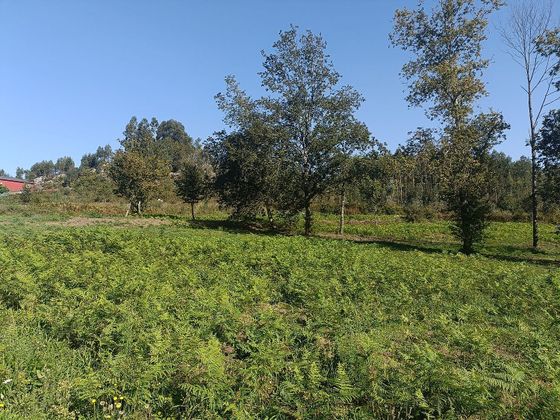 Foto 2 de Venta de terreno en Coirós de 6000 m²