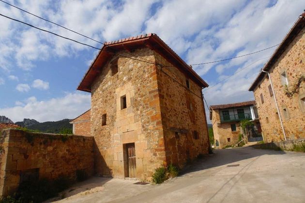 Foto 1 de Casa en venda a Valle de Manzanedo de 1 habitació amb jardí
