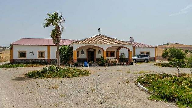 Foto 1 de Casa rural en venda a Morón de la Frontera de 7 habitacions amb terrassa i jardí