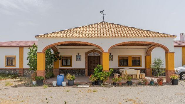 Foto 2 de Casa rural en venda a Morón de la Frontera de 7 habitacions amb terrassa i jardí