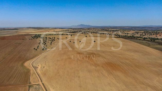 Foto 2 de Venta de terreno en Llerena de 4800000 m²