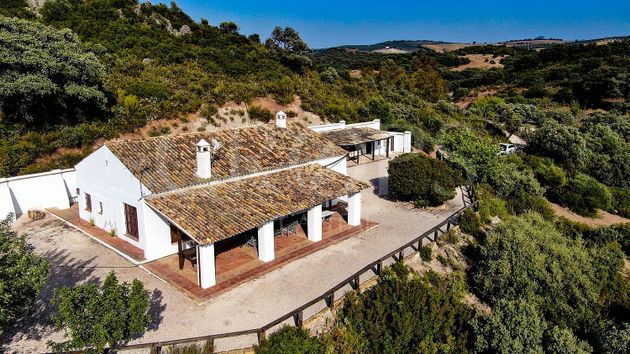 Foto 1 de Casa rural en venda a Morón de la Frontera de 1 habitació amb terrassa i jardí