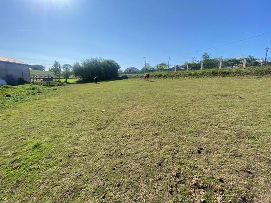 Foto 2 de Venta de terreno en Llanera de 1250 m²