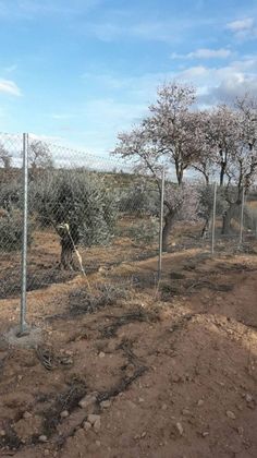 Foto 2 de Venta de terreno en Almansa de 32000 m²