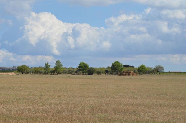 Foto 2 de Venta de terreno en Almansa de 16700 m²