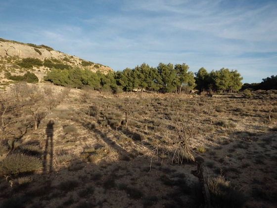 Foto 1 de Venta de terreno en Almansa de 14000 m²