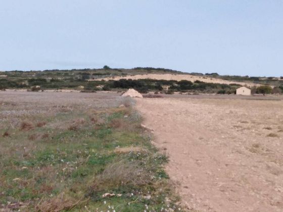 Foto 2 de Venta de terreno en Almansa de 40000 m²