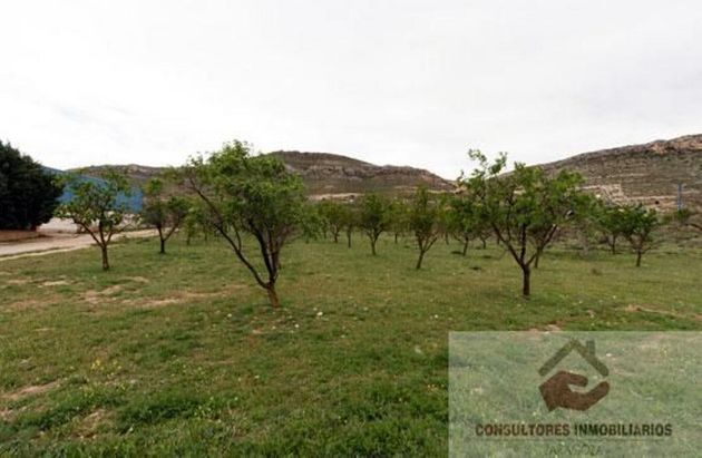Foto 2 de Venta de terreno en Alhama de Aragón de 5000 m²
