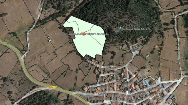 Foto 2 de Venta de terreno en Cabeza de Béjar (La) de 22829 m²
