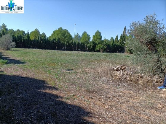 Foto 1 de Venta de terreno en Bonillo (El) de 1377 m²