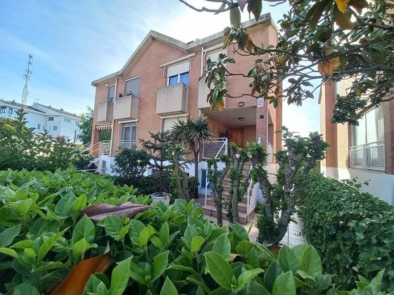 Foto 2 de Casa en venta en San Adrián - La Cava de 4 habitaciones con terraza y piscina
